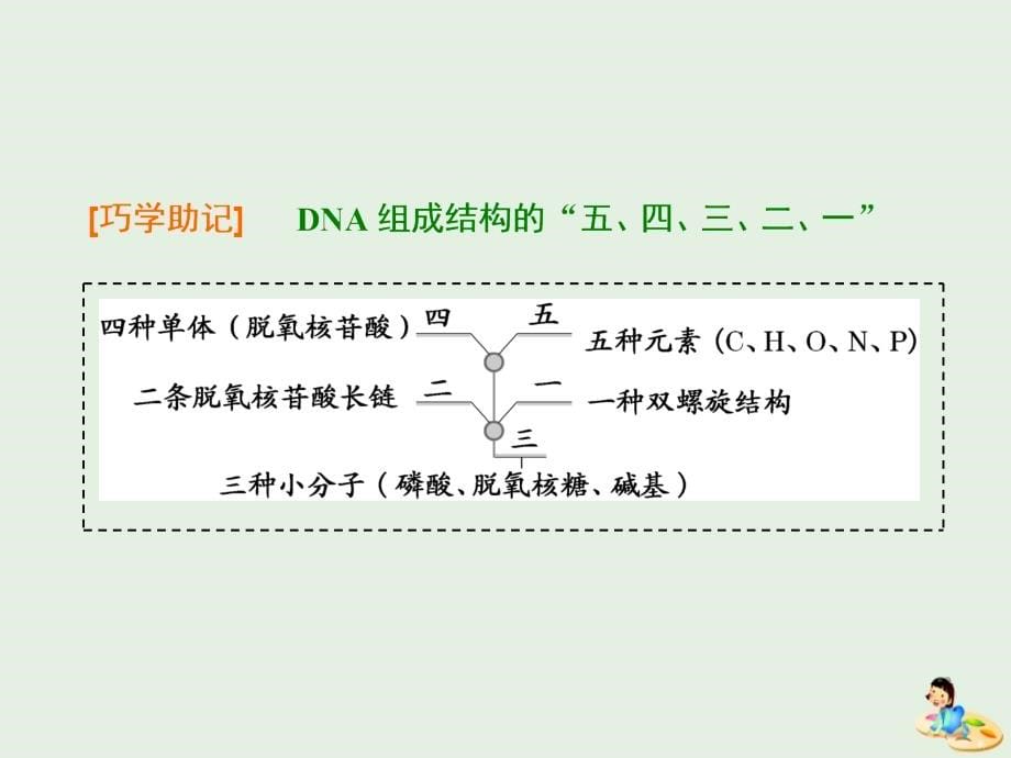 （江苏专版）2020版高考生物一轮复习 第一单元 第4讲 核酸、糖类和脂质课件（必修1）_第5页