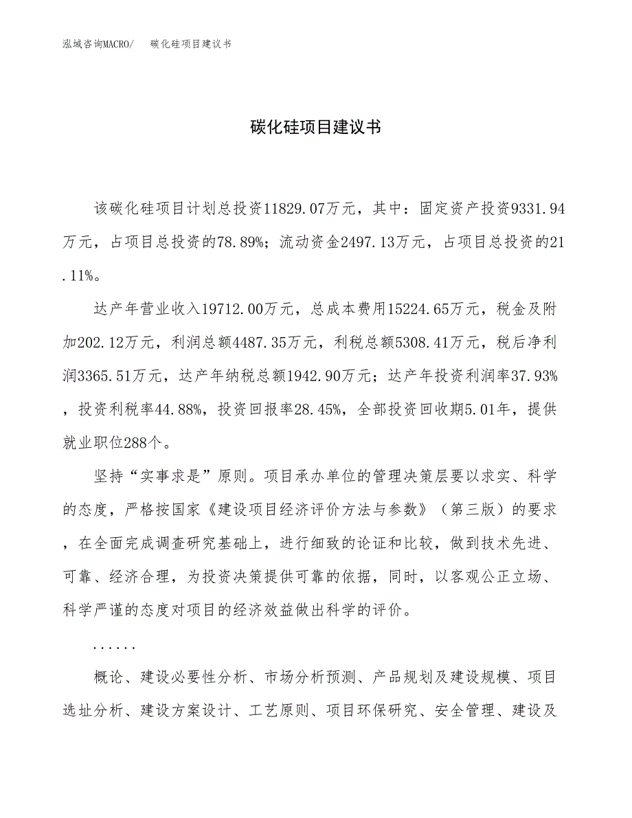 碳化硅项目建议书（48亩）.docx_第1页