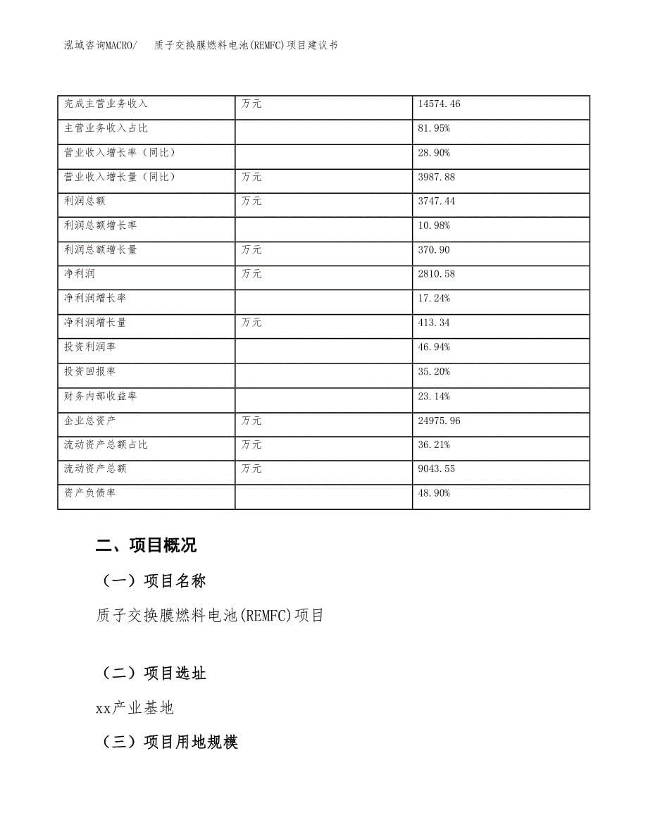 质子交换膜燃料电池(REMFC)项目建议书（总投资16000万元）.docx_第5页