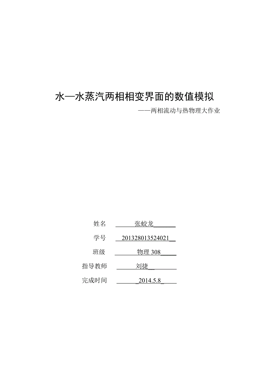 两相流大作业_第1页