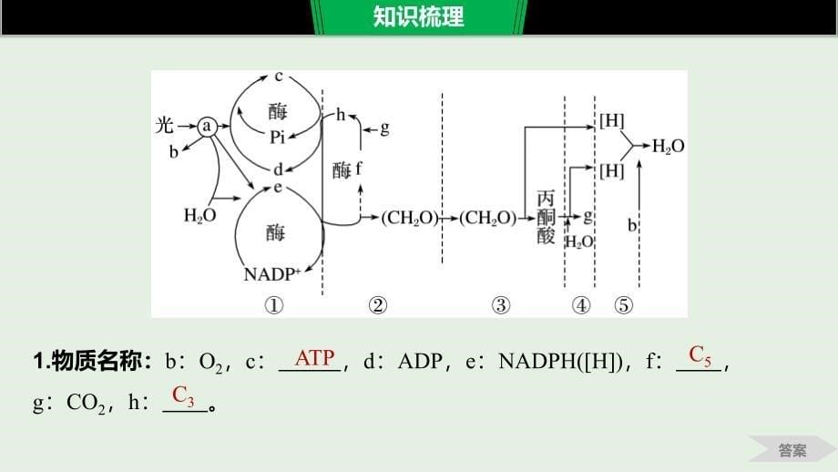 （江苏专用）2020版高考生物新导学大一轮复习 第三单元 光合作用和细胞呼吸 第11讲 光合作用与细胞呼吸的综合应用课件 苏教版_第5页