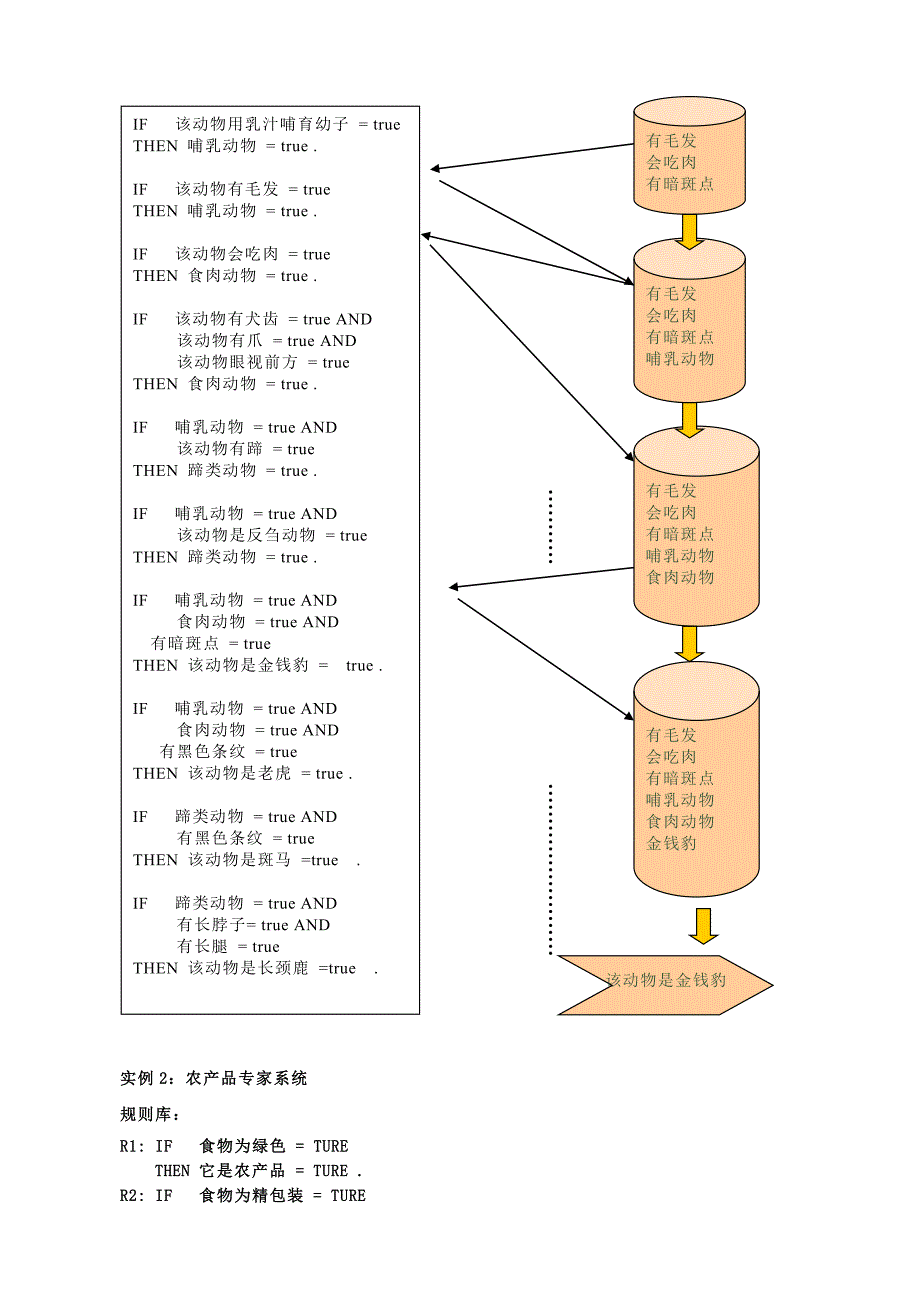 实例讲解专家系统工作原理_第4页