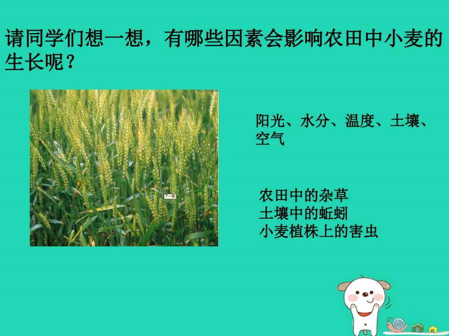 七年级生物上册_1.1.2《生物与环境的相互影响》课件1 （新版）北师大版_第3页