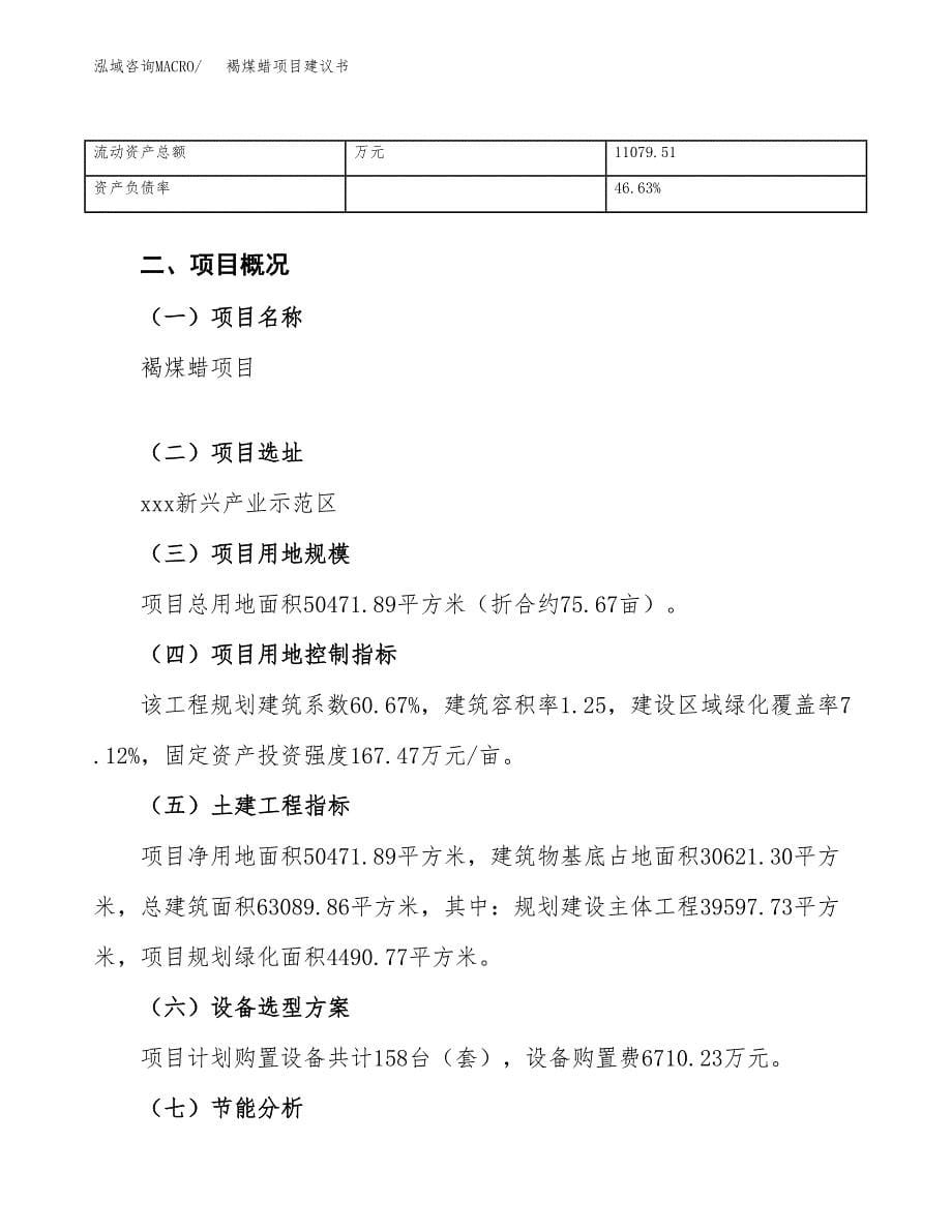 褐煤蜡项目建议书（76亩）.docx_第5页