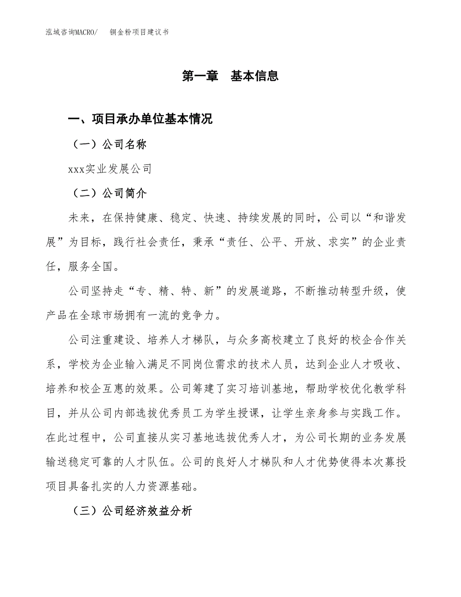 铜金粉项目建议书（总投资15000万元）.docx_第3页