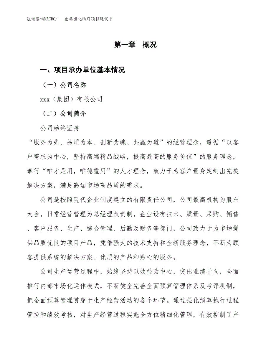 金属卤化物灯项目建议书（62亩）.docx_第3页