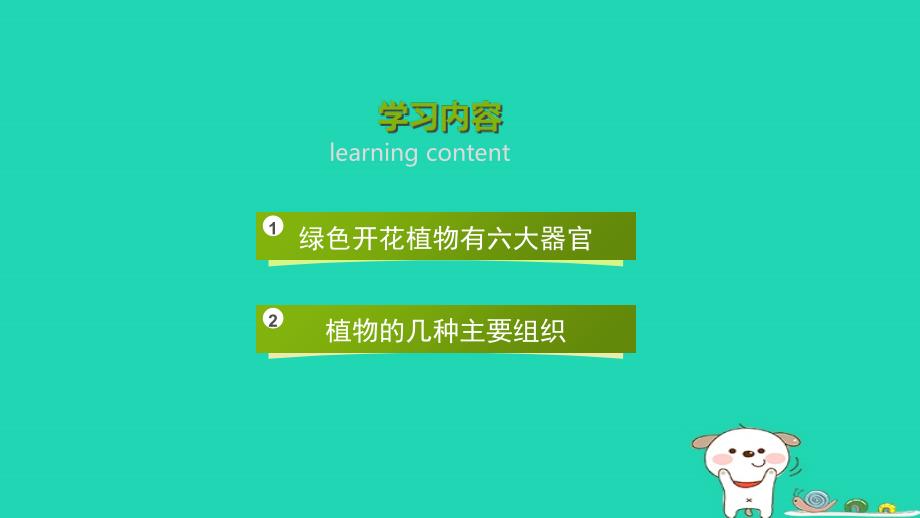 七年级生物上册_2.2.3《植物体的结构层次》课件 （新版）新人教版_第3页