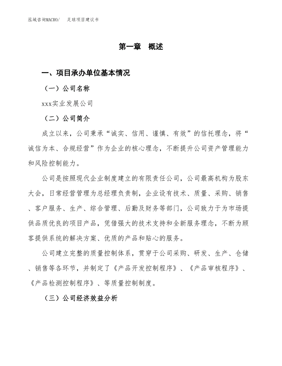 足球项目建议书（总投资21000万元）.docx_第2页