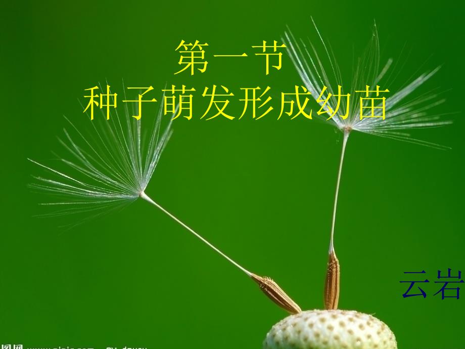 种子萌发形成幼苗(修改版)_第1页