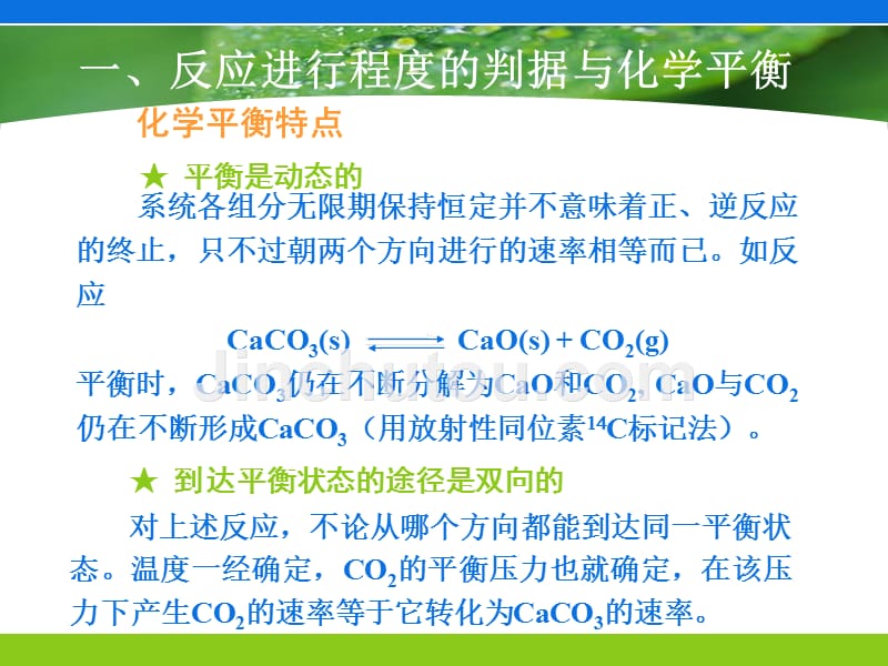 化学 教学课件 ppt 作者 王利明 陈红梅 李双石 主编3化学反应程度的判定和化学反应速率的控制_第4页