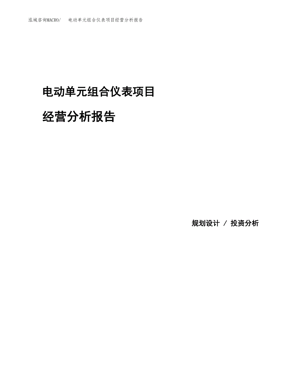 电动单元组合仪表项目经营分析报告模板_第1页