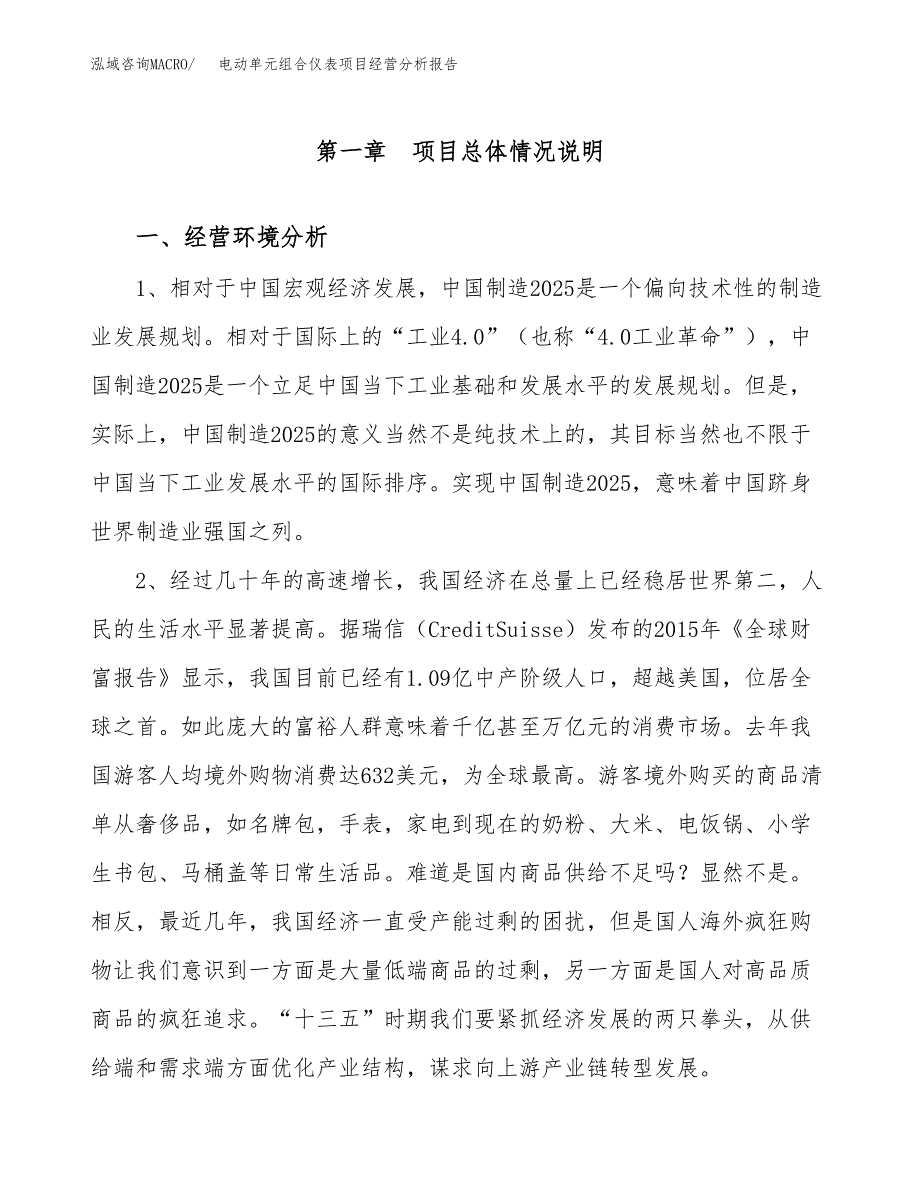 电动单元组合仪表项目经营分析报告模板_第2页