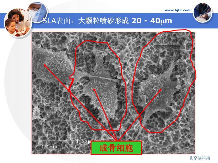 种植患者接诊步骤3.修复及后期维护_第4页