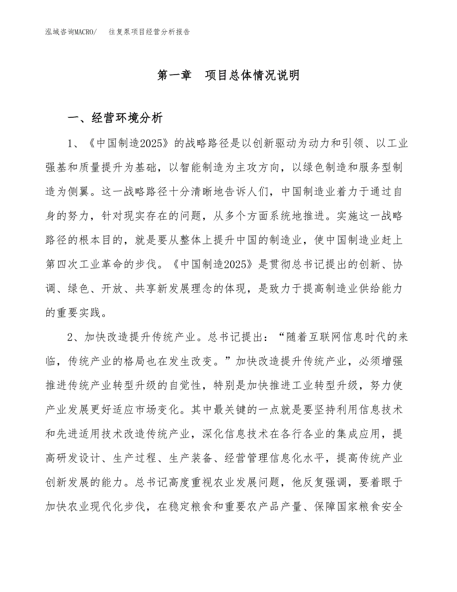 往复泵项目经营分析报告模板_第2页