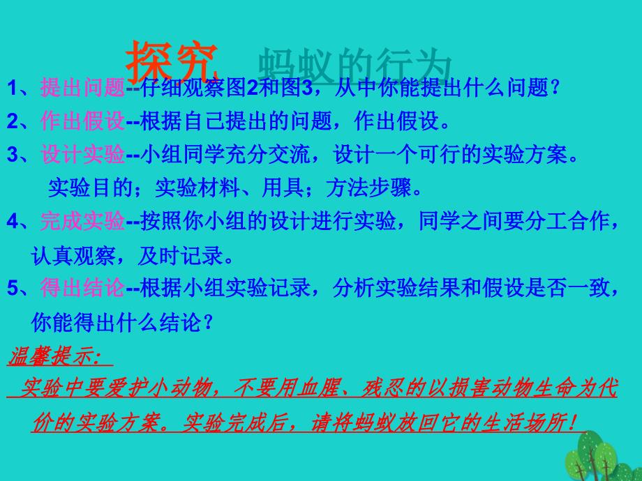 八年级生物上册_4.2.2 动物行为的类型课件 冀教版_第3页