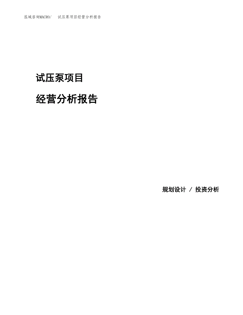 试压泵项目经营分析报告模板_第1页