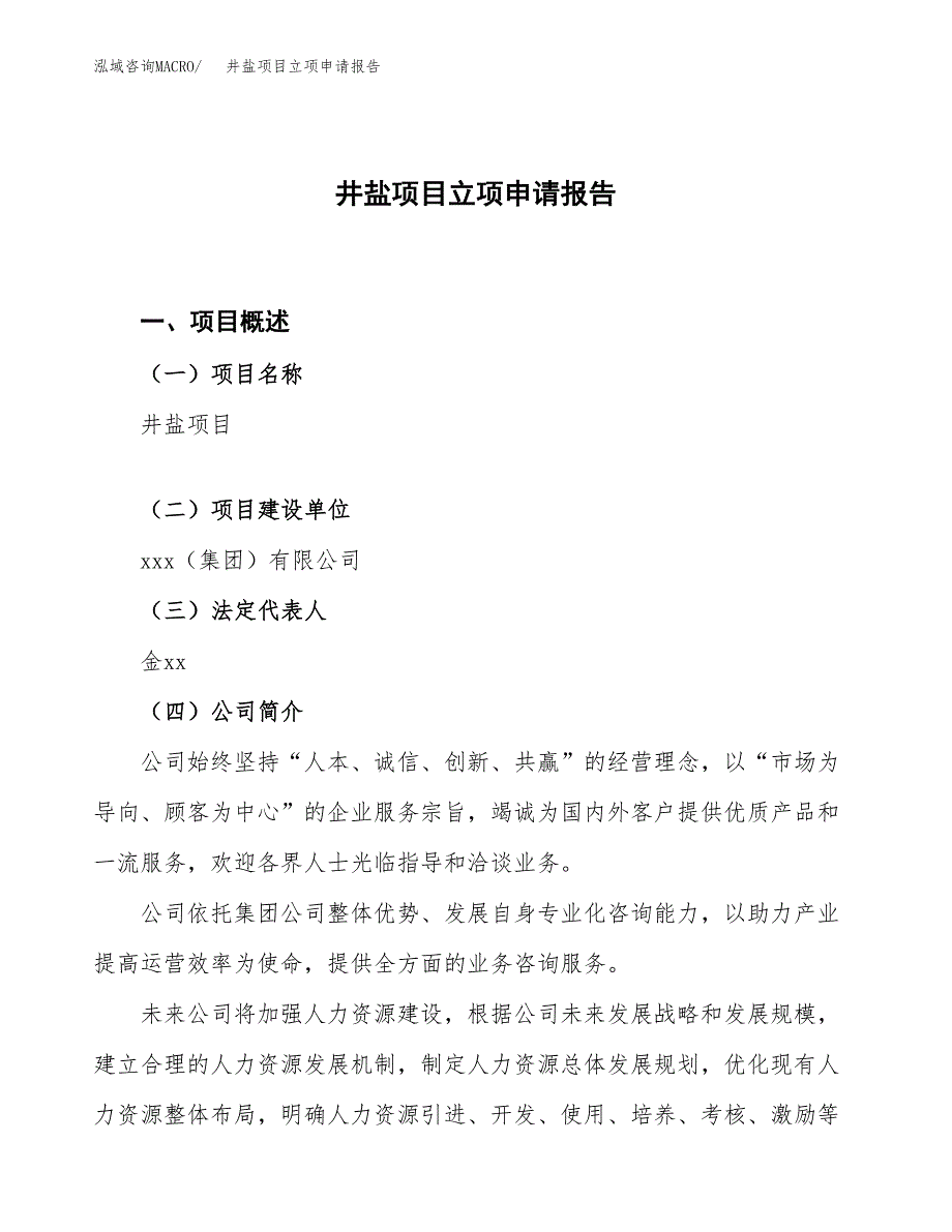 井盐项目立项申请报告.docx_第1页