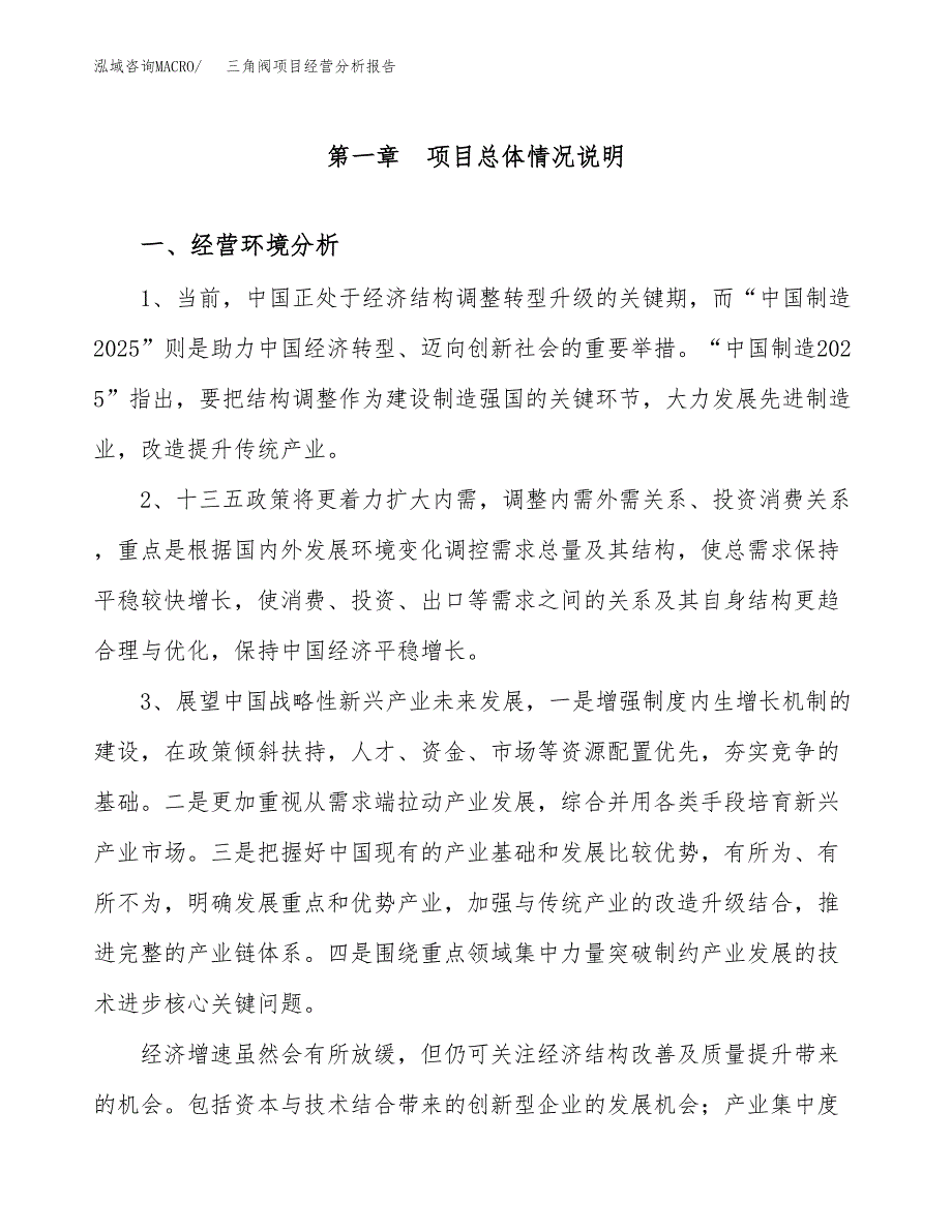 三角阀项目经营分析报告模板_第2页