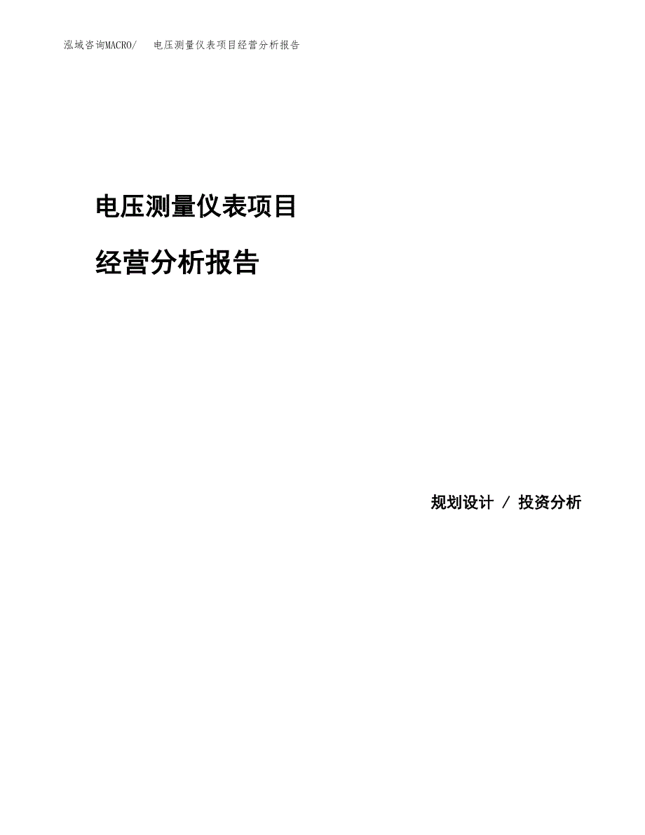 电压测量仪表项目经营分析报告模板_第1页