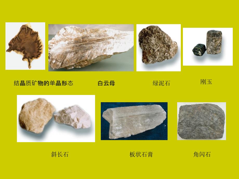 工程地质学教程 教学课件 ppt 作者 姜晨光 主编 唐平英 方绪华 范千 副主编第6章 岩石及土的形成与鉴别_第2页