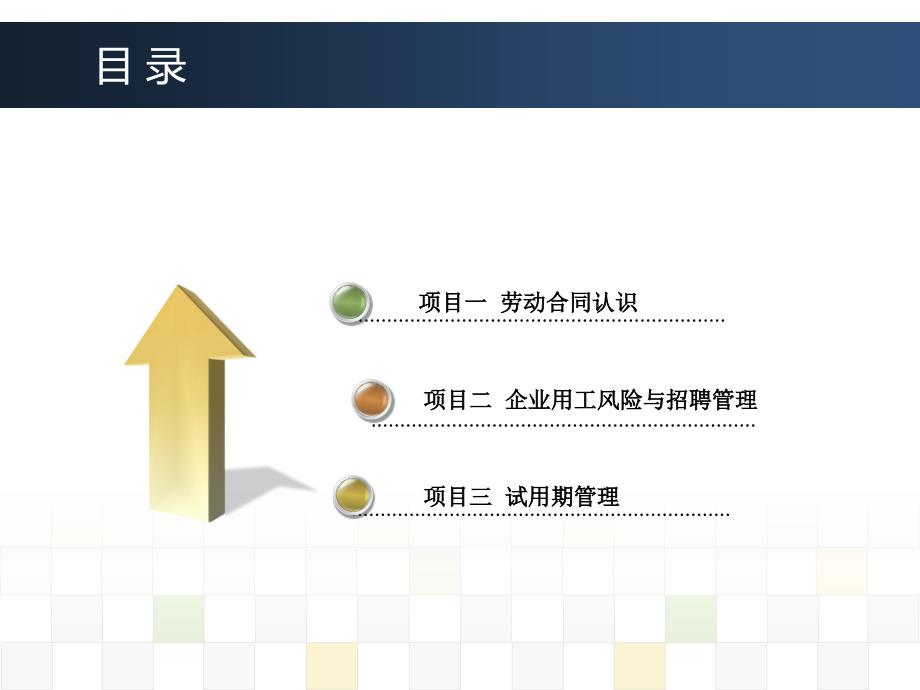 劳动关系管理模块二 劳动关系建立ppt_第2页