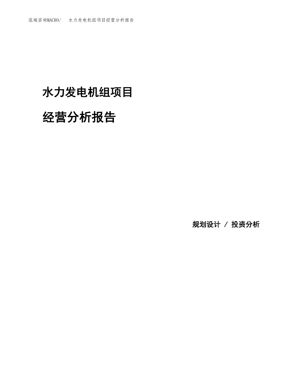 水力发电机组项目经营分析报告模板_第1页