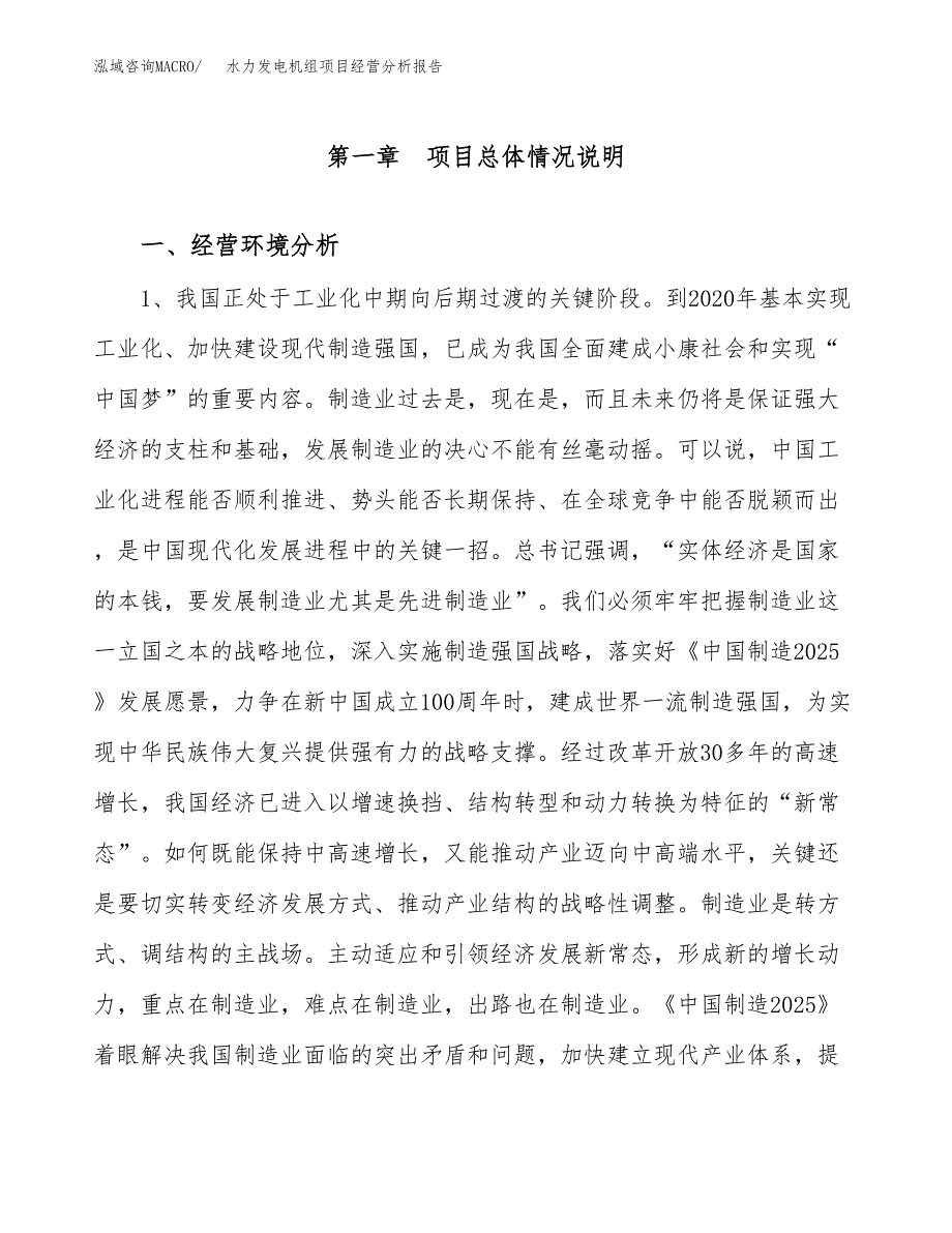 水力发电机组项目经营分析报告模板_第2页