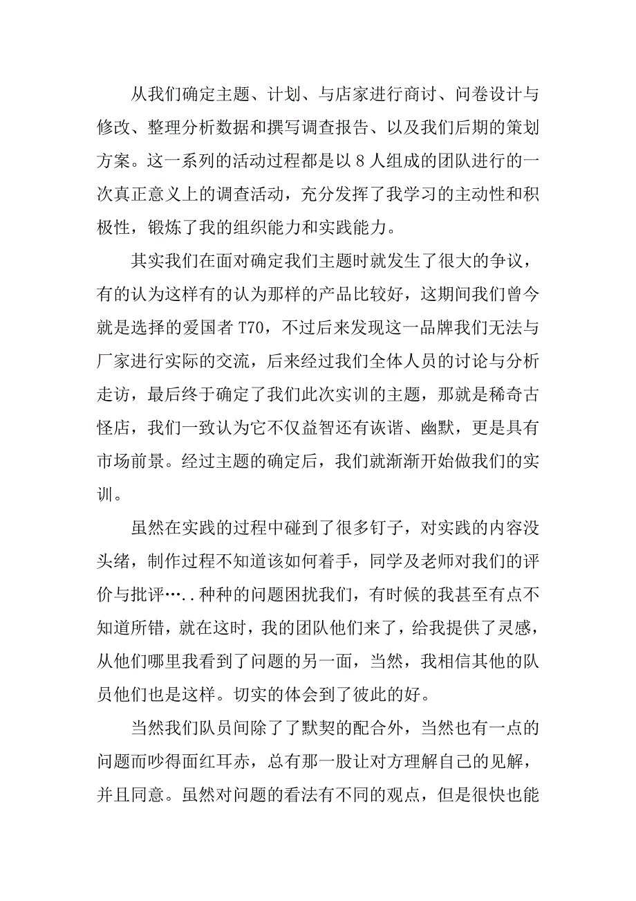 策划实习报告精选范文.doc_第3页