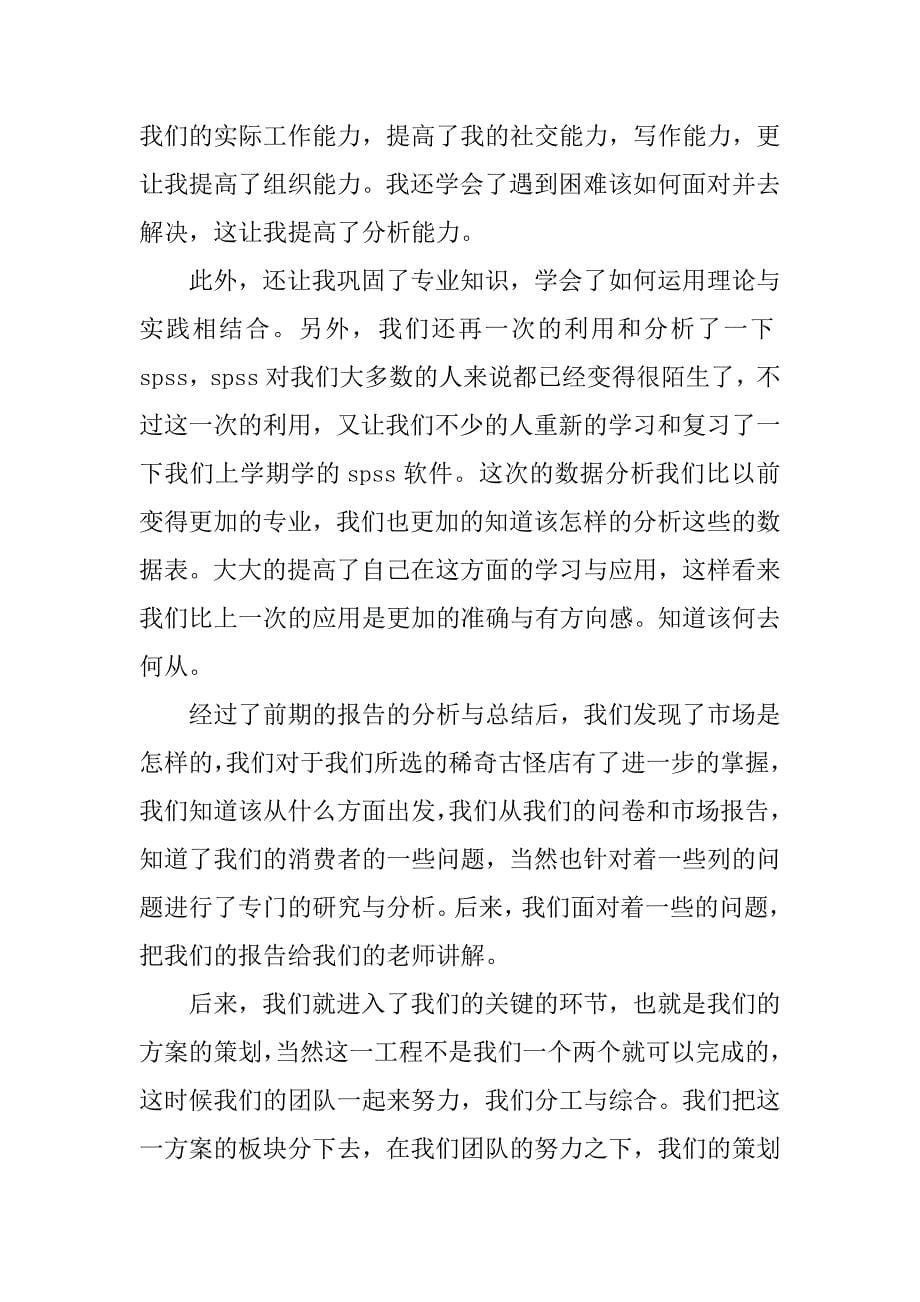 策划实习报告精选范文.doc_第5页