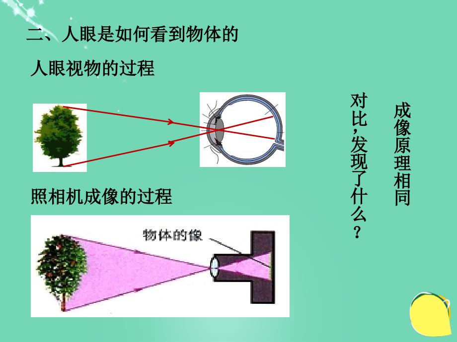 八年级物理上册_5.4 眼睛和眼镜课件 （新版）新人教版_2_第4页