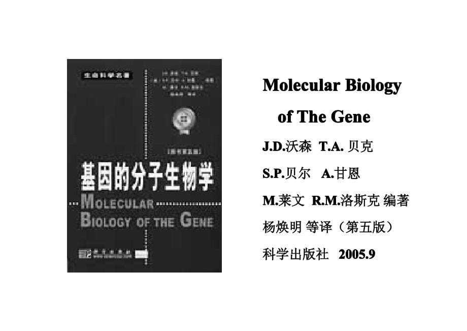 现代分子生物学与基因工程 教学课件 ppt 作者 李海英 杨峰山 邵淑丽 等编著11第一章_第5页