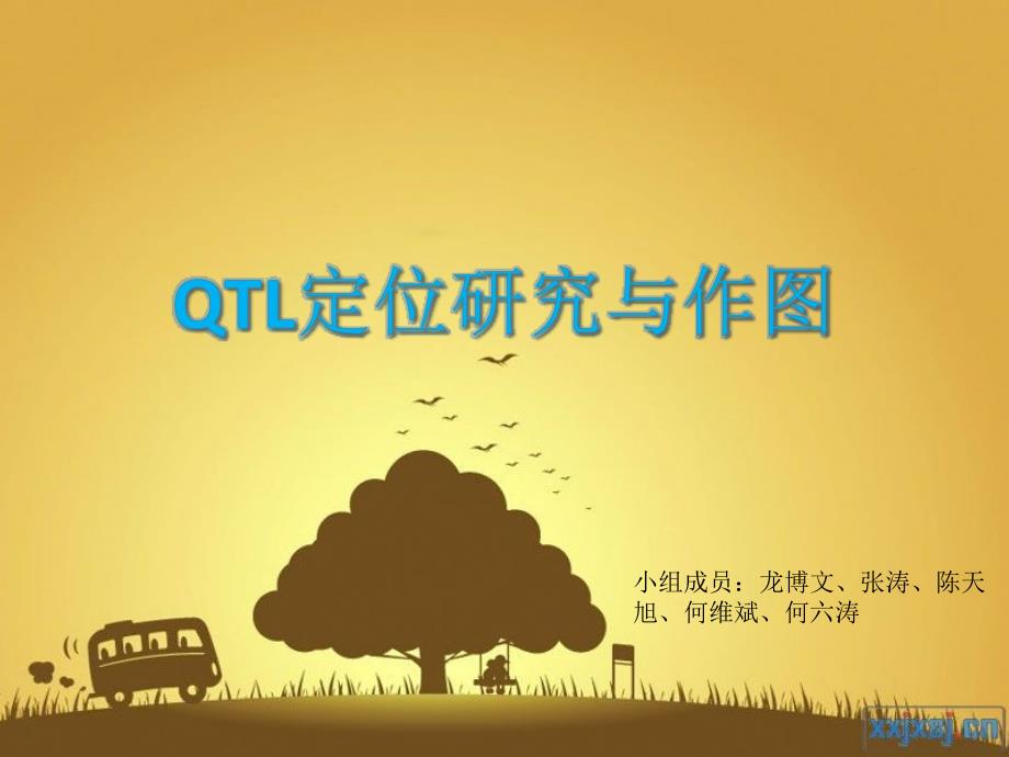 QTL定位研究与作图课件_第1页