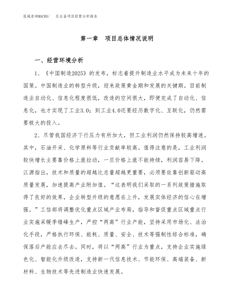 反应釜项目经营分析报告模板_第2页