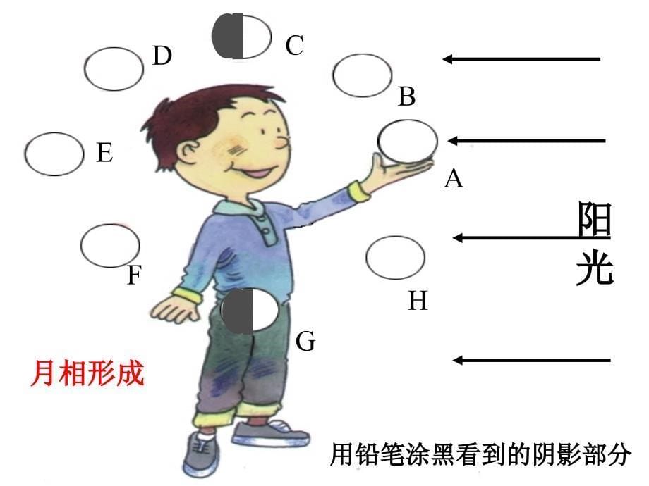 七年级科学下册_4.4《月相》课件2 浙教版_第5页