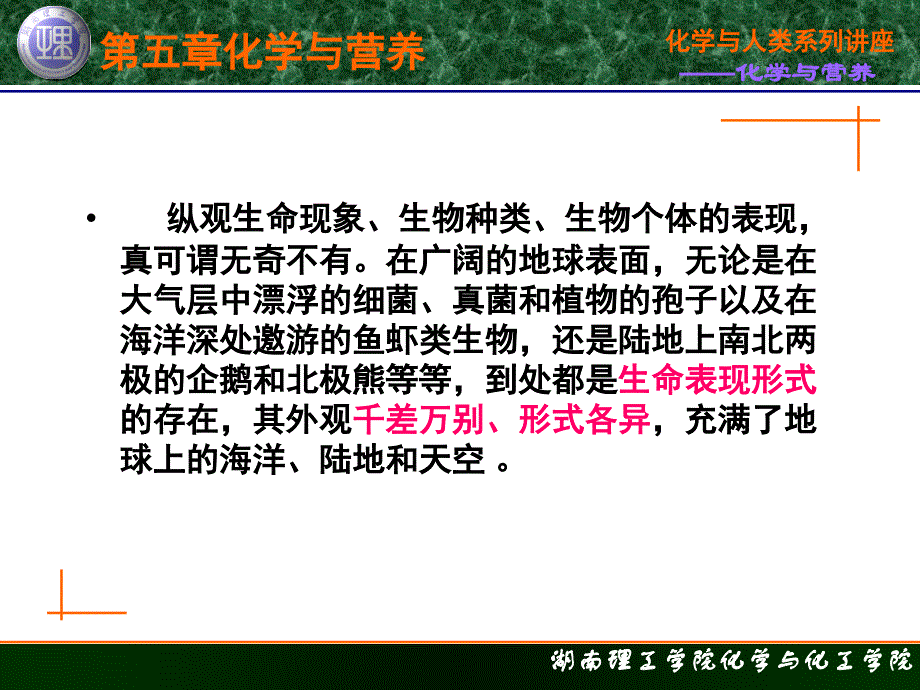 化学与人类生活 教学课件 ppt 作者 柳一鸣 主编 第五章 化学与营养第一节 化学与生命_第2页