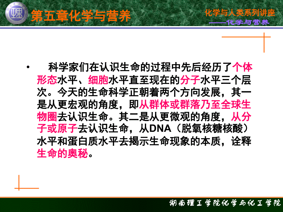 化学与人类生活 教学课件 ppt 作者 柳一鸣 主编 第五章 化学与营养第一节 化学与生命_第4页