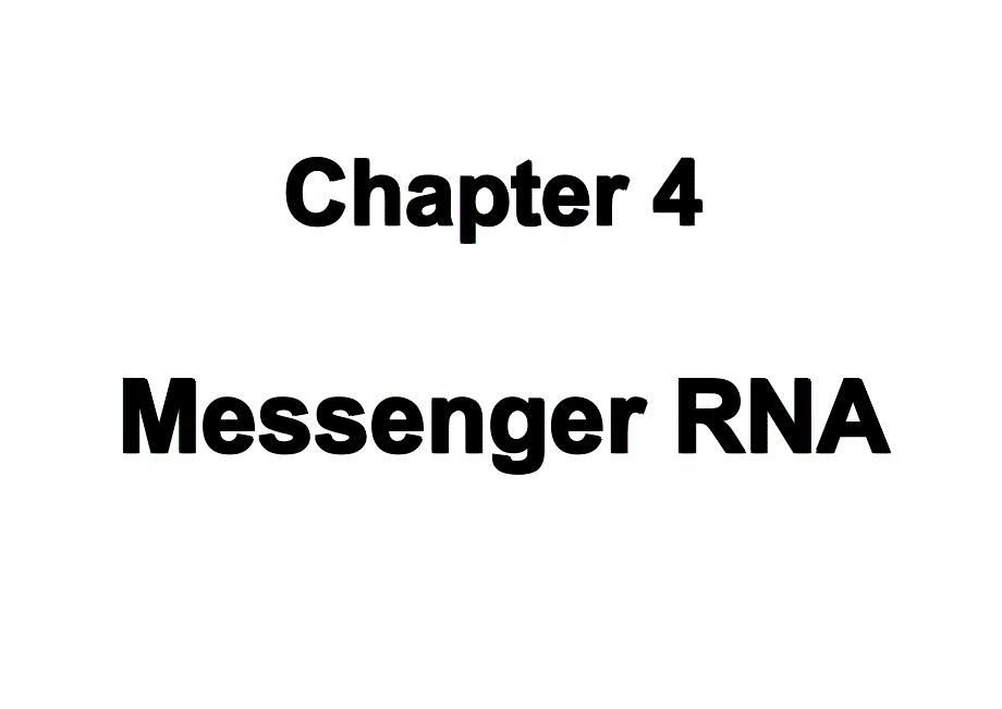 现代分子生物学与基因工程 教学课件 ppt 作者 李海英 杨峰山 邵淑丽 等编著05双语第四章_第1页