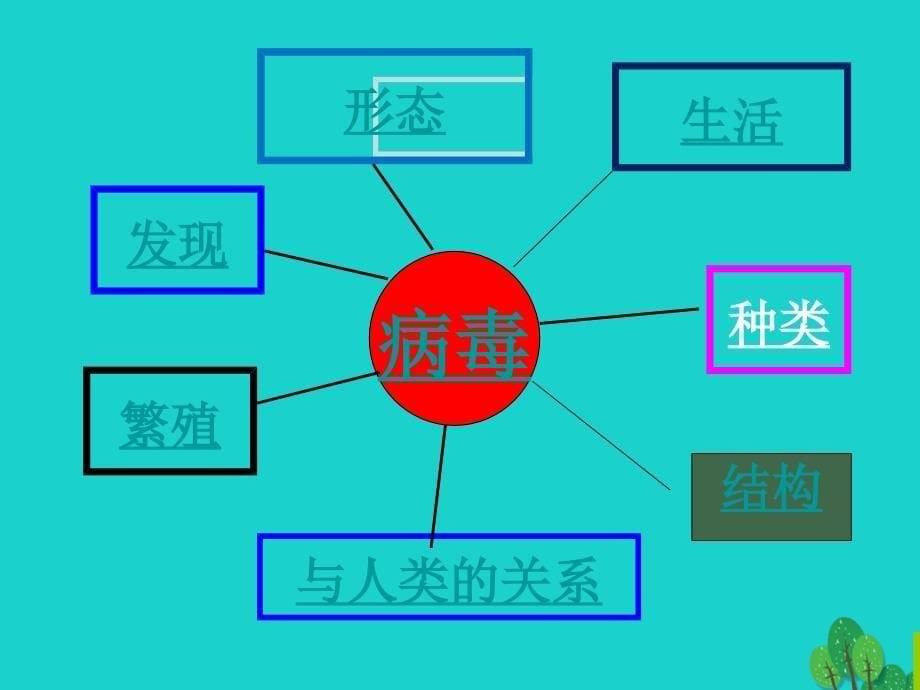 八年级生物上册_第五单元 第5章 病毒课件 （新版）新人教版_第5页