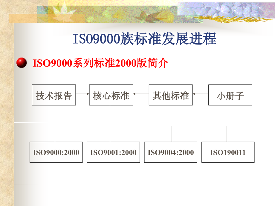 ISO9000与ISO9001标准解析_第3页