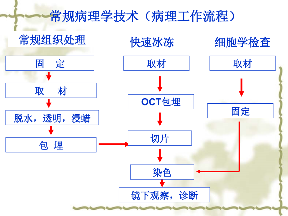 常规病理检查重点_第2页