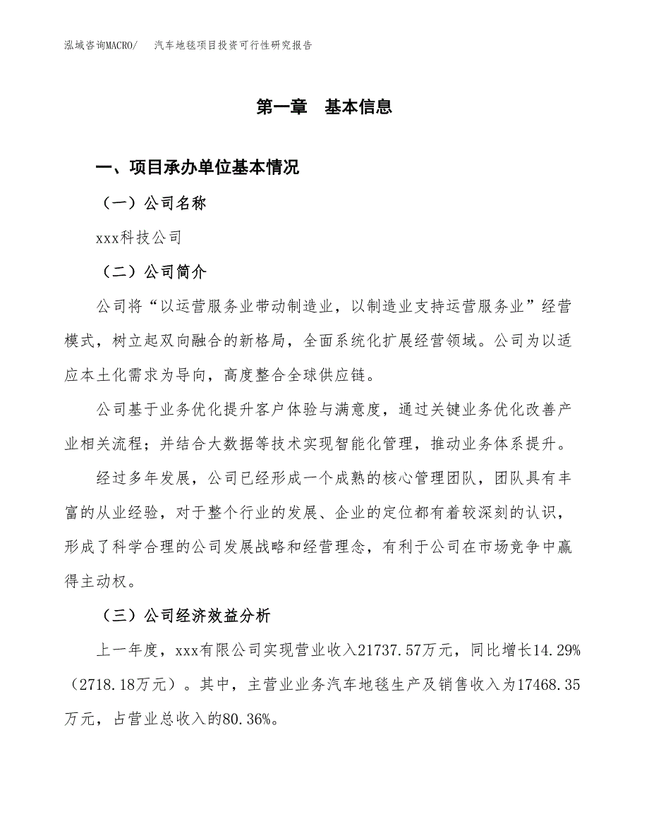 汽车地毯项目投资可行性研究报告（项目申请）_第3页