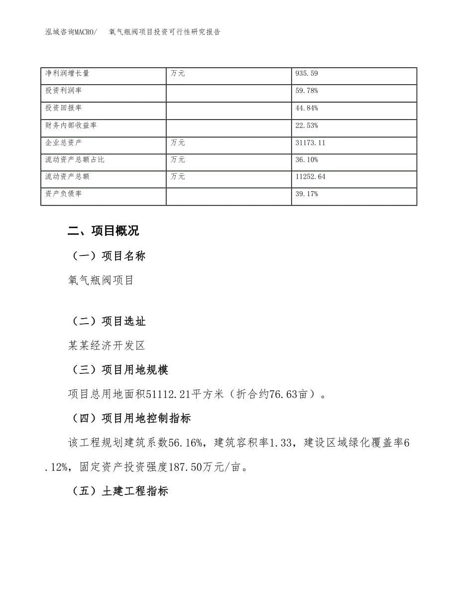 氧气瓶阀项目投资可行性研究报告（项目申请）_第5页