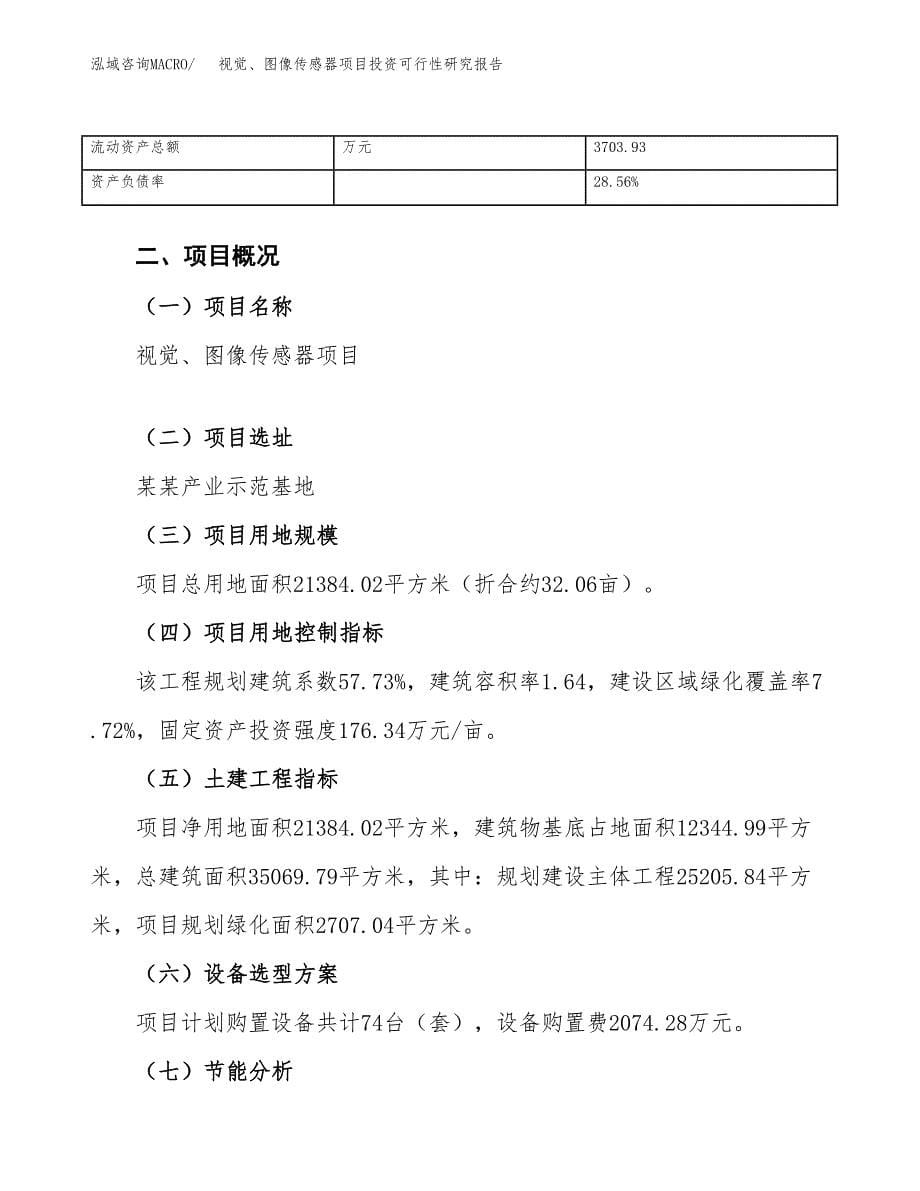 视觉、图像传感器项目投资可行性研究报告（项目申请）_第5页