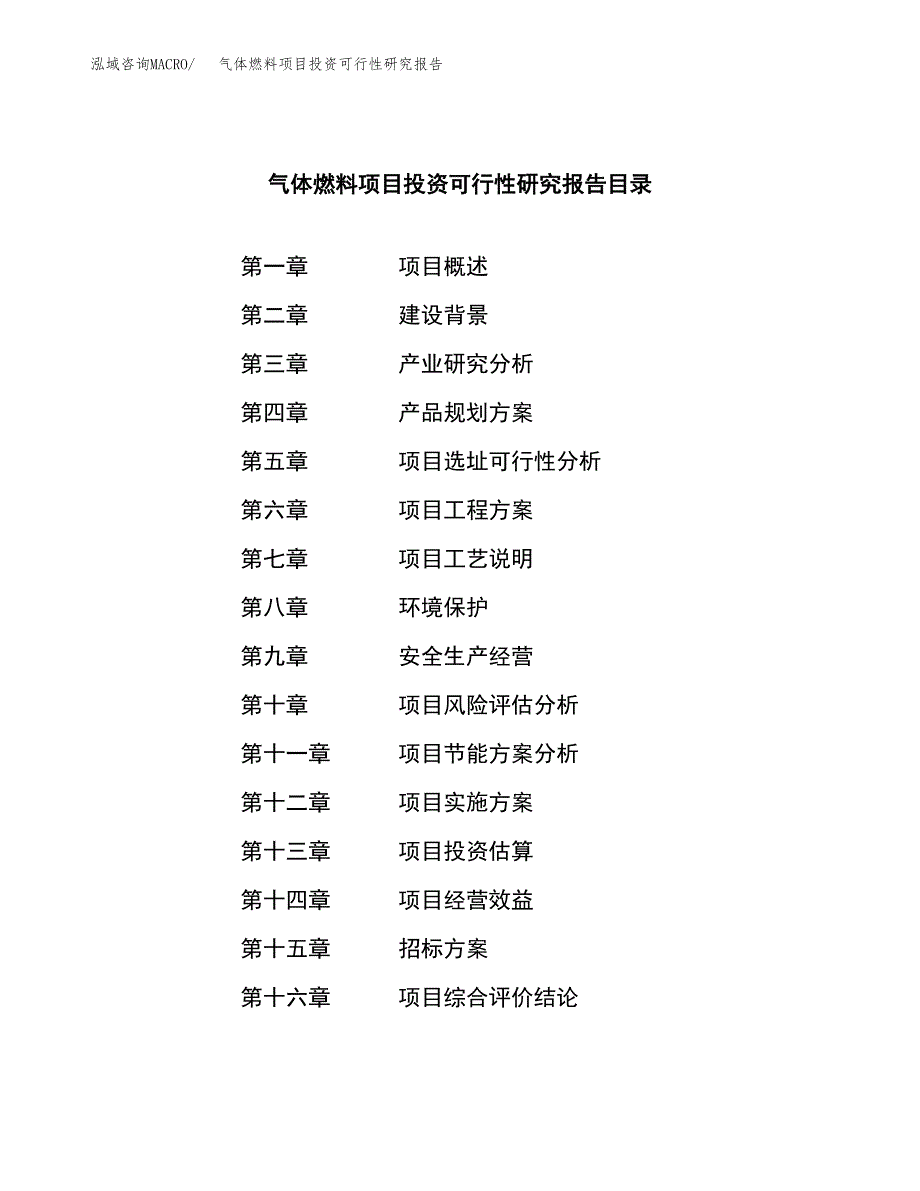 气体燃料项目投资可行性研究报告（项目申请）_第2页