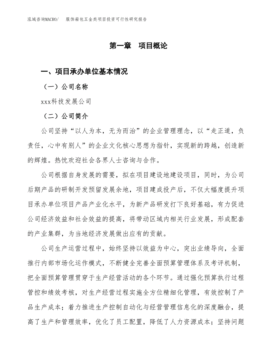 服饰箱包五金类项目投资可行性研究报告（项目申请）_第3页