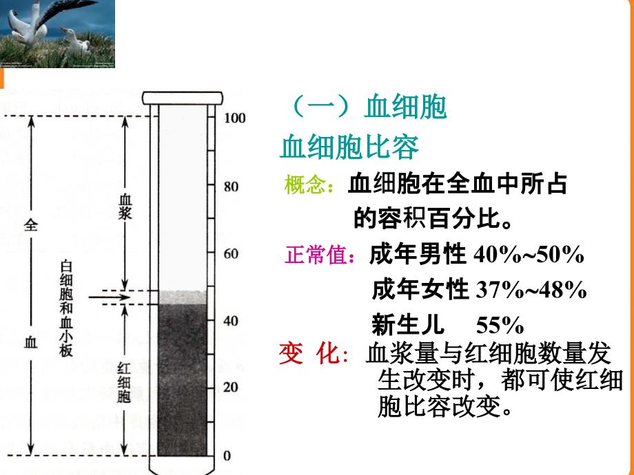 内有纤维蛋白原和凝血因子血清_第3页