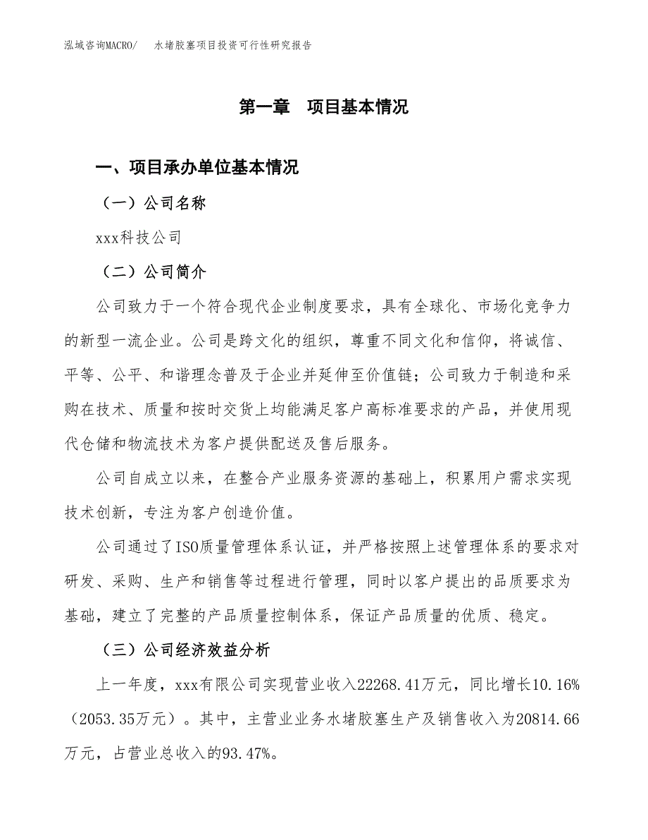 水堵胶塞项目投资可行性研究报告（项目申请）_第3页