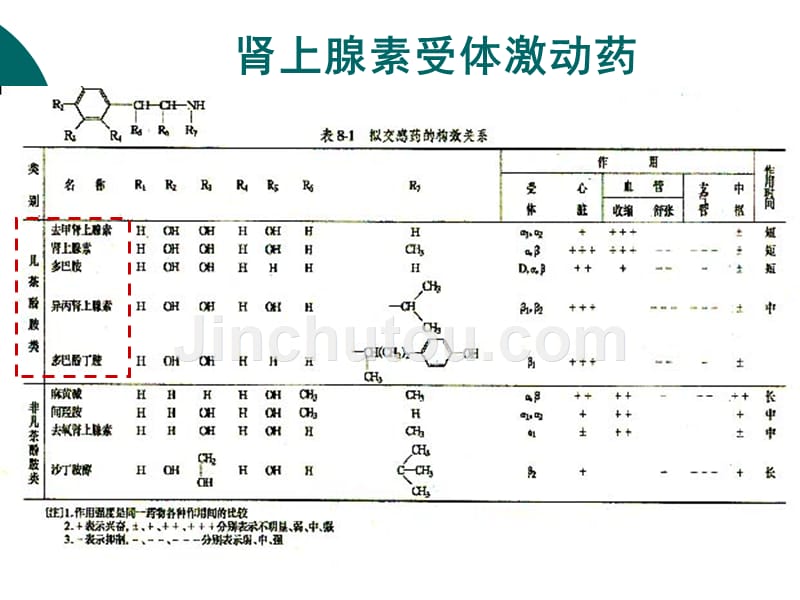 拟抗肾上腺素药综述_第3页