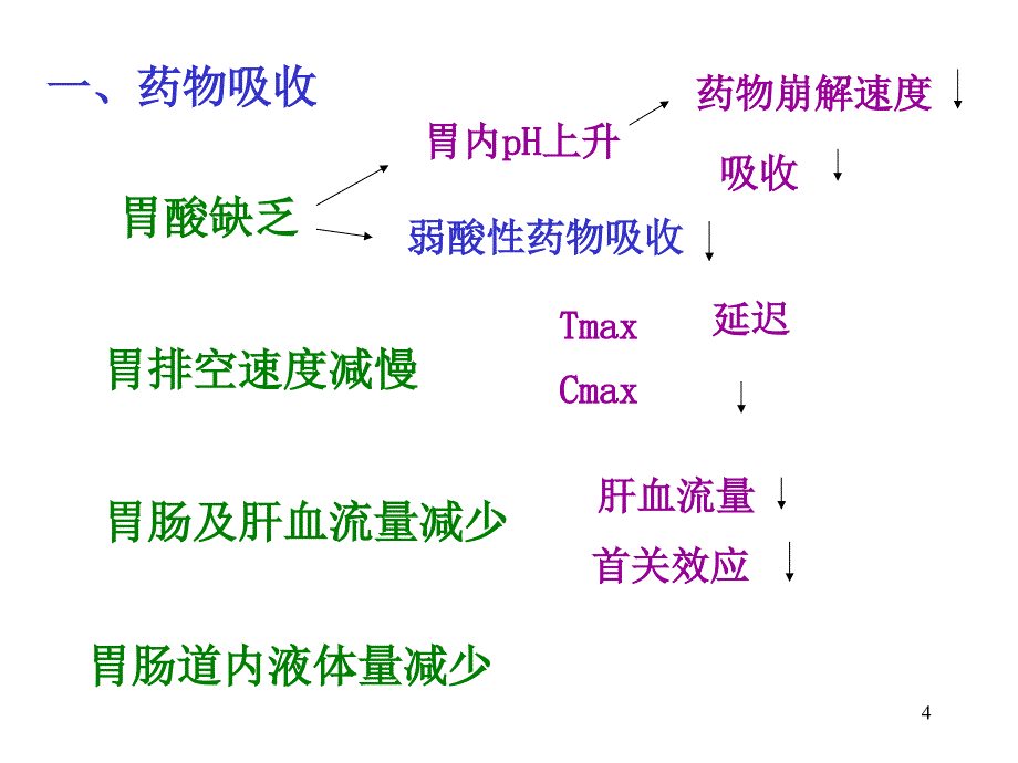 年龄的药物代谢动力学课件_第4页