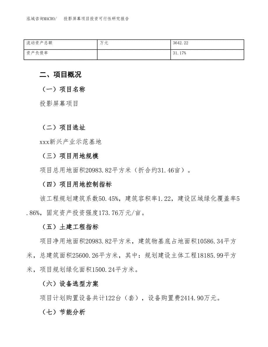 投影屏幕项目投资可行性研究报告（项目申请）_第5页